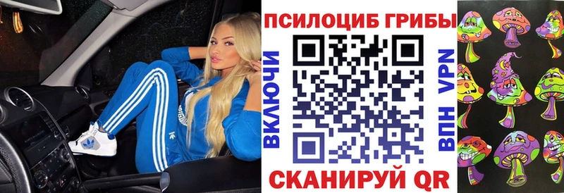 Псилоцибиновые грибы Psilocybine cubensis  Пикалёво 